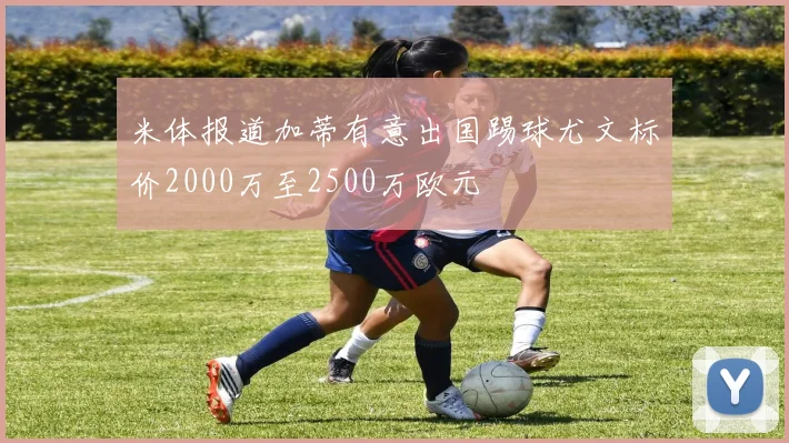 米体报道加蒂有意出国踢球尤文标价2000万至2500万欧元