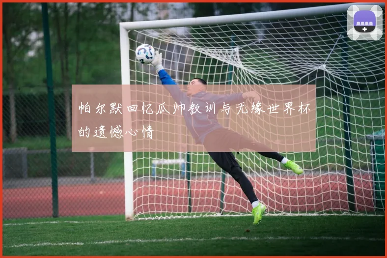 帕尔默回忆瓜帅教训与无缘世界杯的遗憾心情